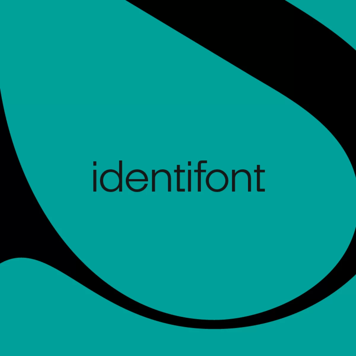 Interview about Solena Pro at identifont